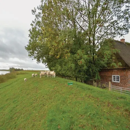 Three-bedroom Holiday In Vakantiehuis *